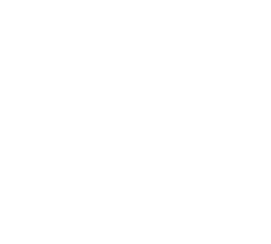 Charleston AI Summit logo